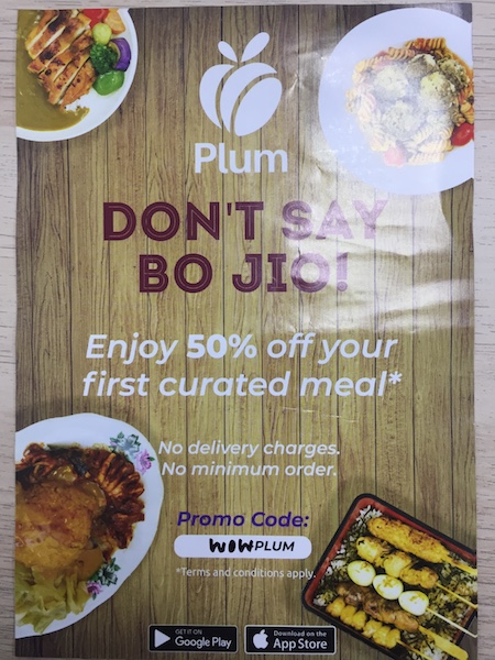 plum bojio flyer